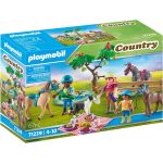 playmobil cavalli